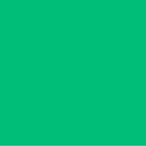 LEE FILTERS FOGLIO 735 VELVET GREEN